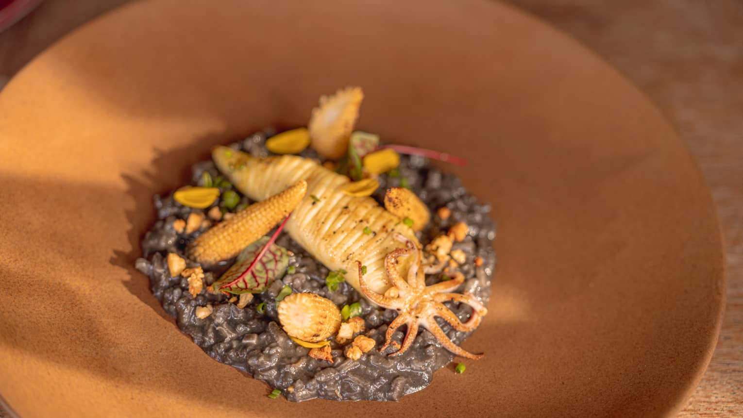 Grilled whole baby squid and ink risotto on round terra cotta plate