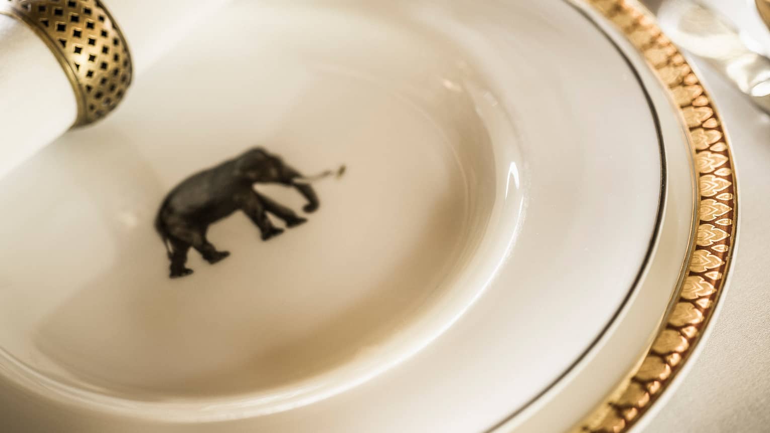Close-up of elephant print on white gold-rimmed plate