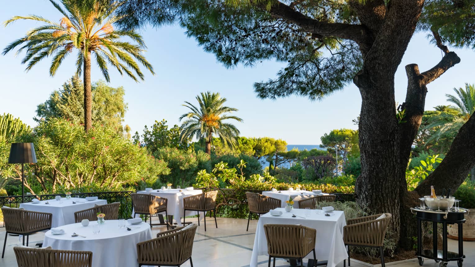 Patio with round white cloth–covered dining tables and rattan chairs surrounded by palm trees and greenery