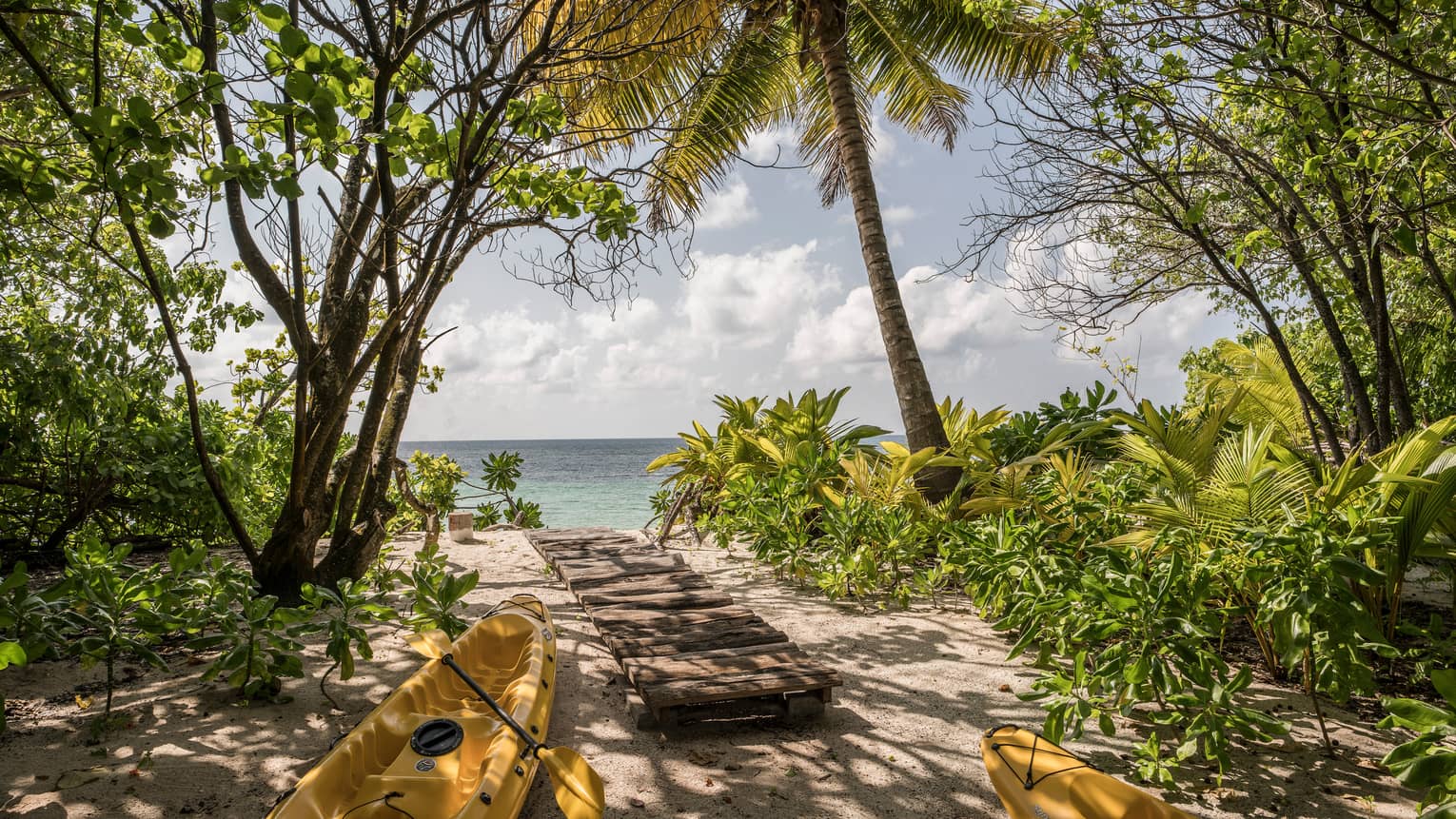 Two yellow kayaks, paddle by long wood walkway between trees on white sand beach
