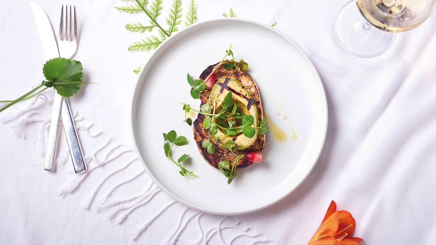 Aerial view of dining table, plate with grilled avocado and sprouts on slice of toast