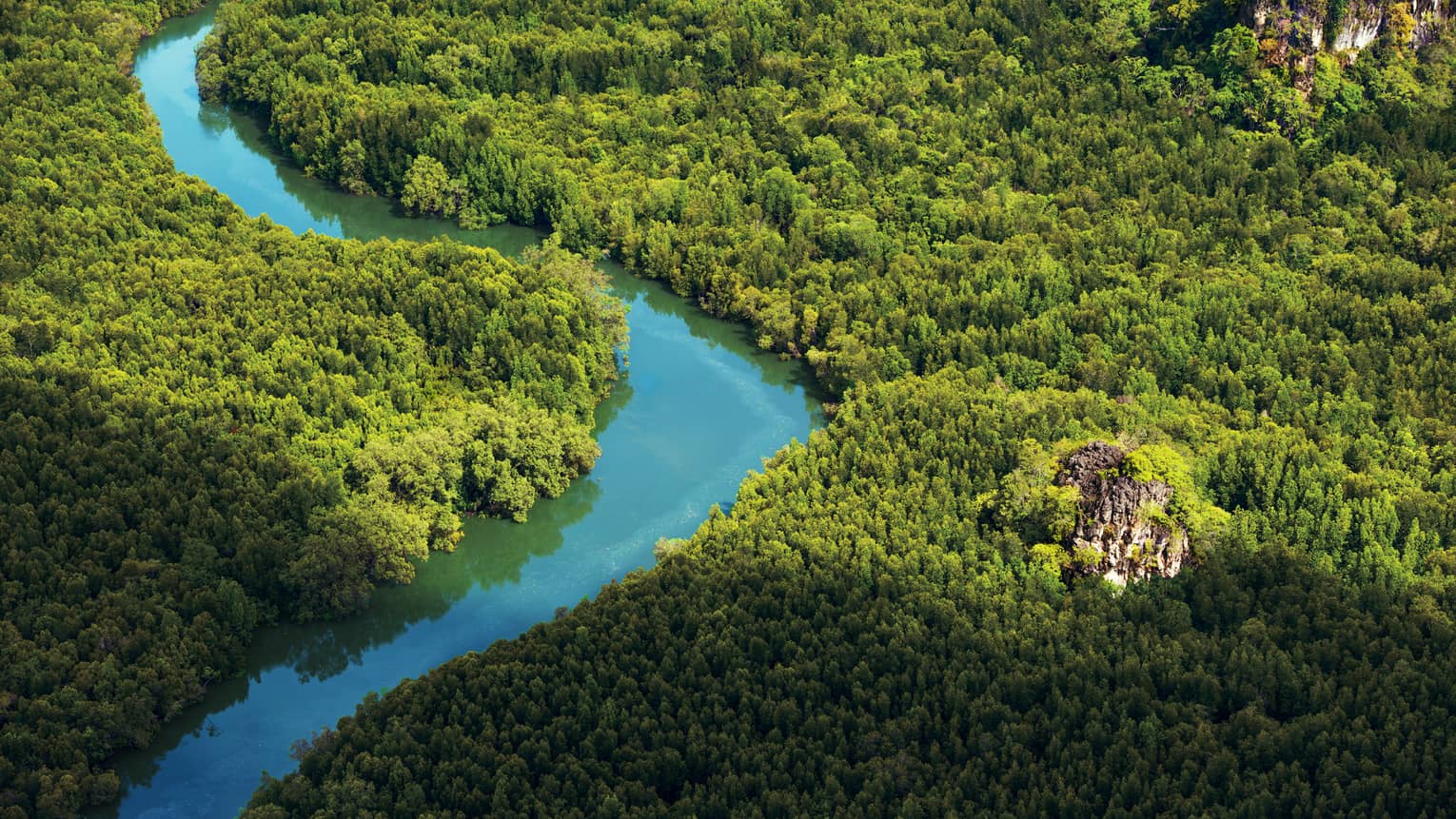Aerial view of blue river winding through green forest