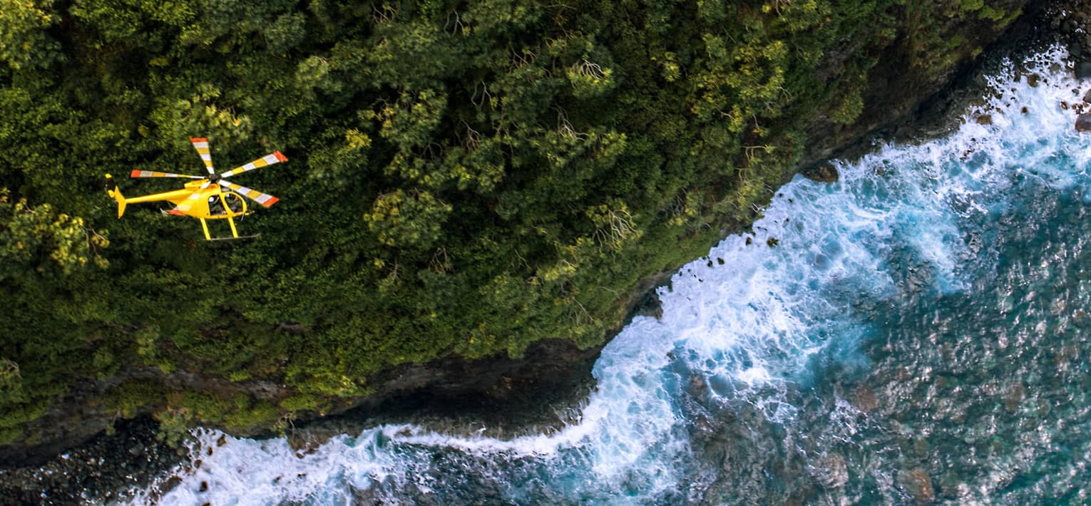 Aerial view of yellow Operation Protect Maui helicopter above green trees and ocean