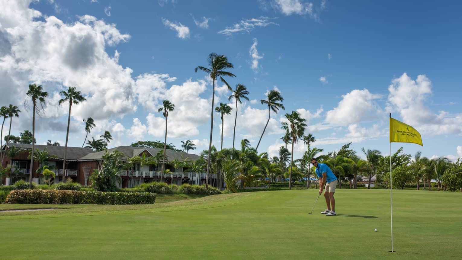 Golfer puts ball toward yellow flag on golf course green, tall palm trees