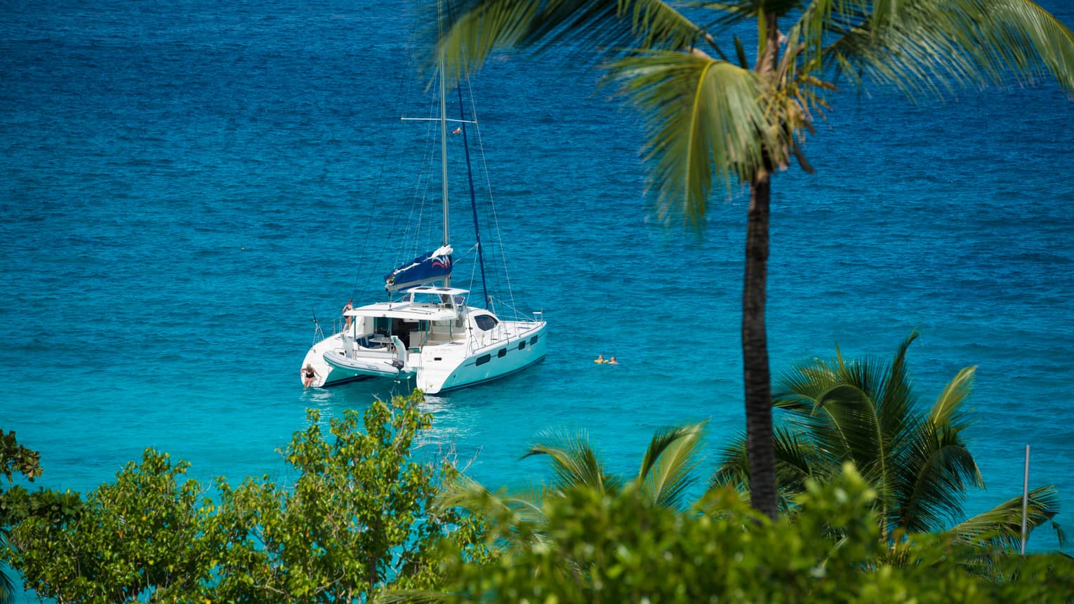 Looking down past tall palm tree at white yacht on blue ocean on sunny day