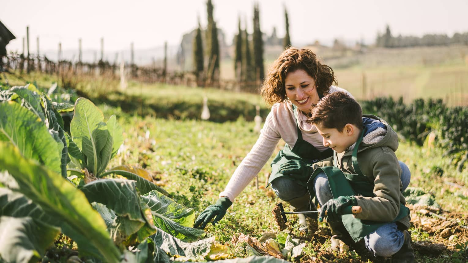 Woman and boy wearing aprons, gloves kneel in soil near large lettuce leaves in vegetable garden patch