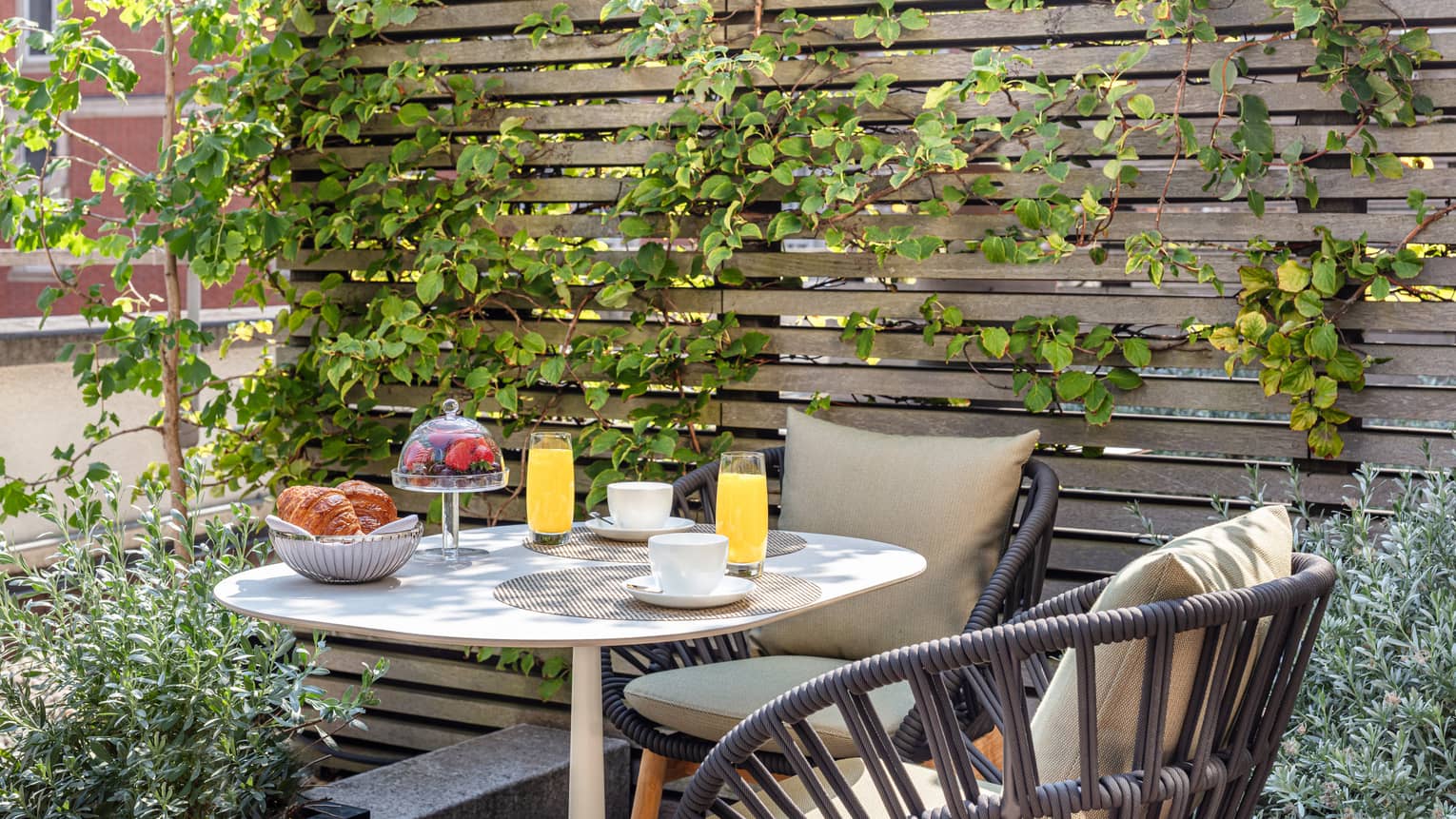 Outdoor terrace with coffee cups, juice glasses, bowl of berries and basket of croissants on a table for two, climbing ivy on the wall behind
