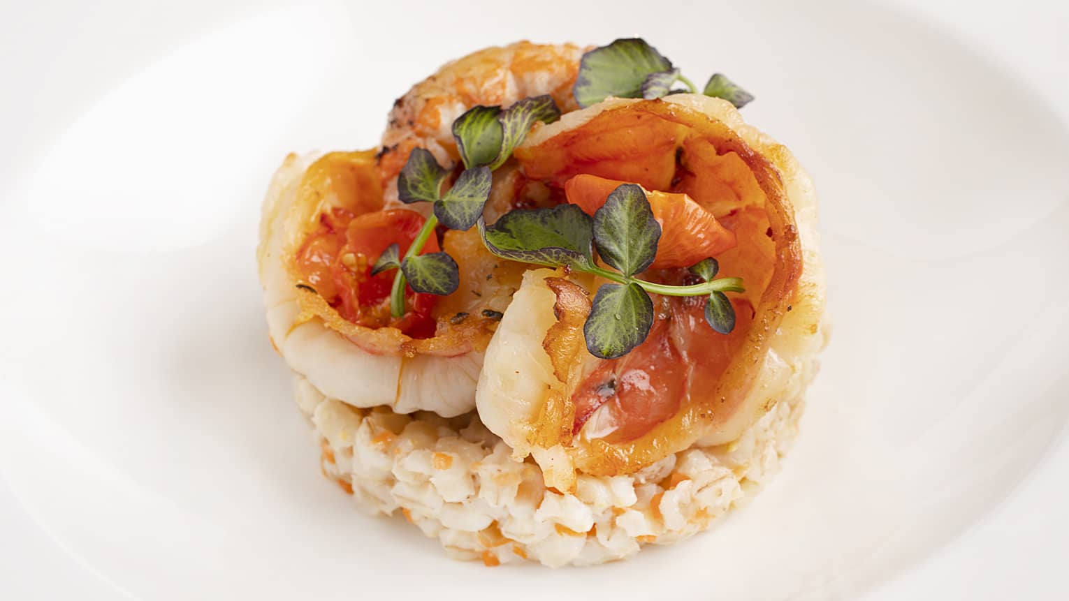 Three pieces of shrimp carefully placed on a round bed of rice and topped with tomato and sprigs of herbs