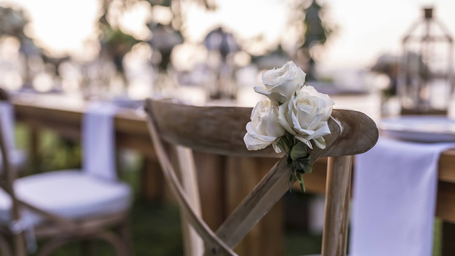 Close up of three white roses on wood dining chair at outdoor wedding reception