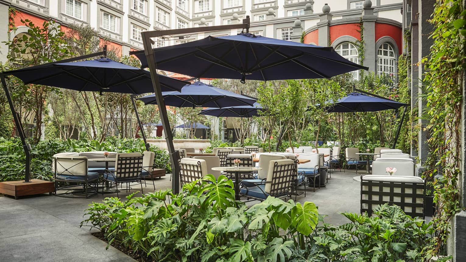 Fifty Mils garden patio, dark blue umbrellas over dining tables, chairs with cushions