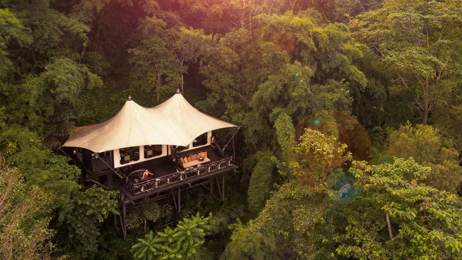 Luxury treehouse tent lodge nestled in dense green jungle at sunset