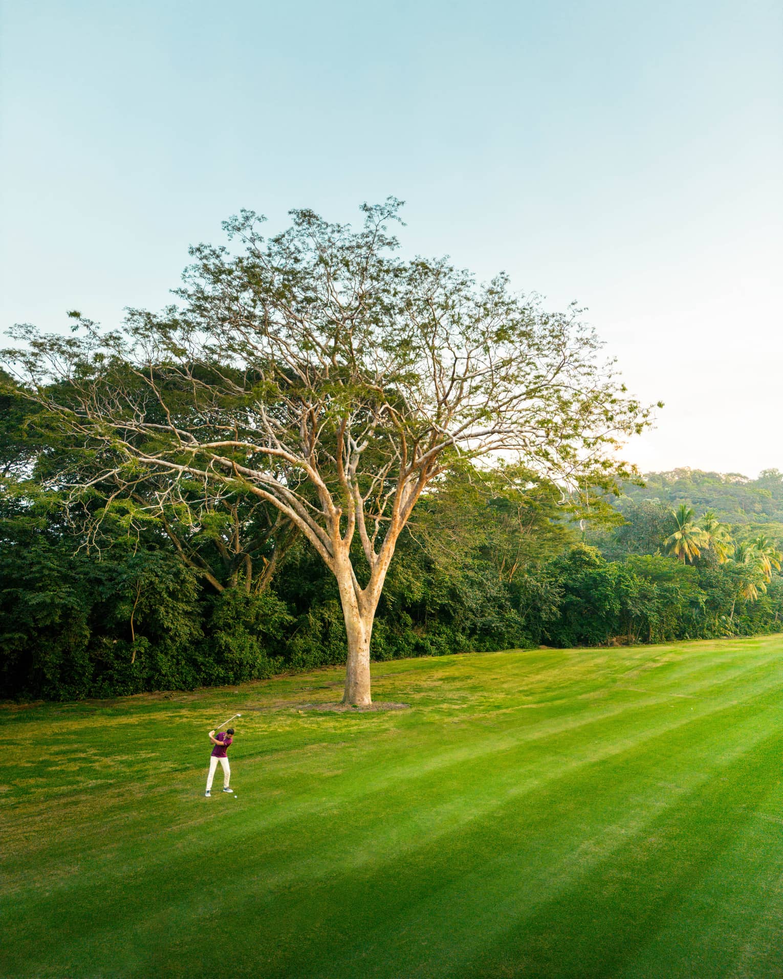 Golfer takes a swing on a bright green fairway next to a treeline