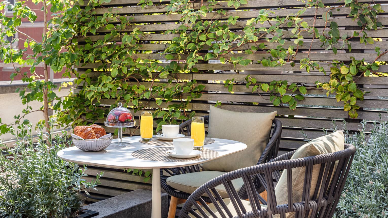 Outdoor terrace with coffee cups, juice glasses, bowl of berries and basket of croissants on a table for two, climbing ivy on the wall behind