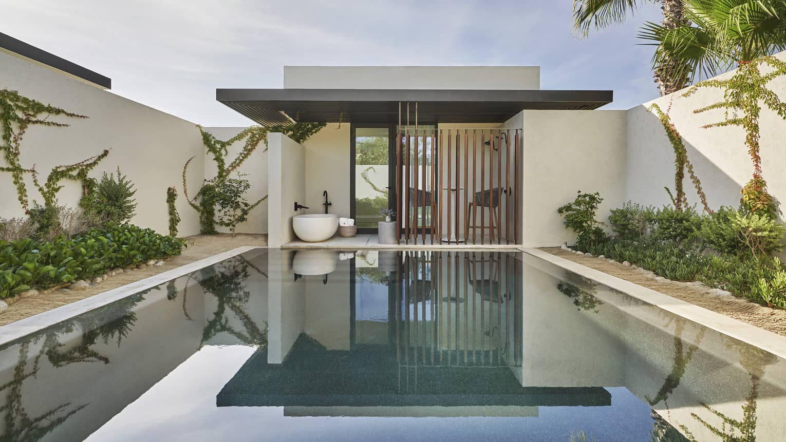a wood gate behind a serene pool surrounded by white walls and plants.