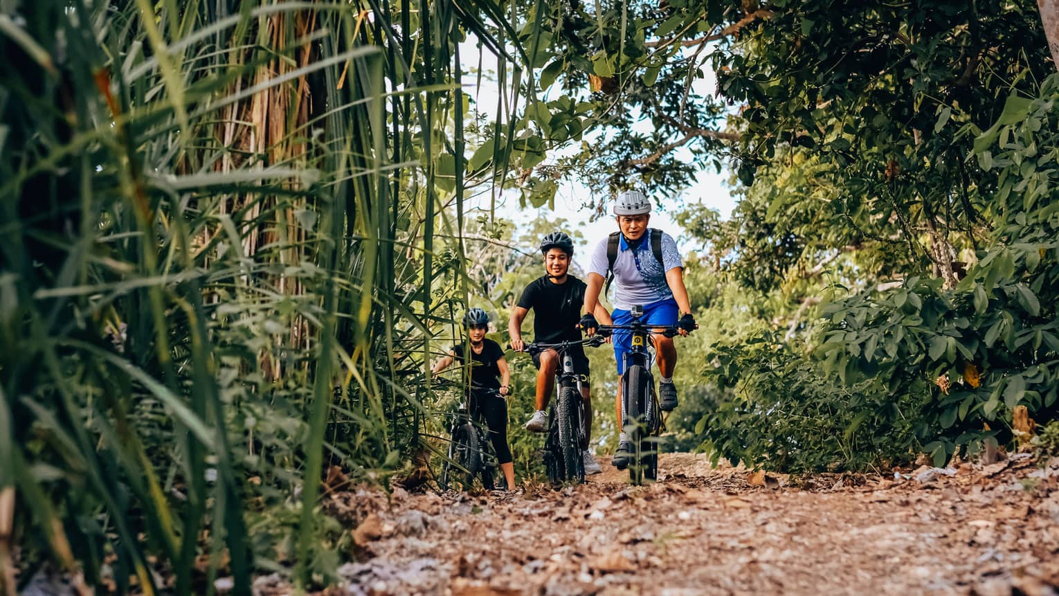 Three friends bike through the bamboo forest