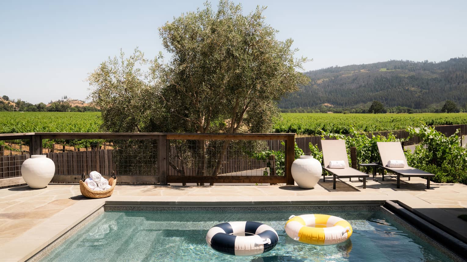 Residence pool with floaties and vineyards in background
