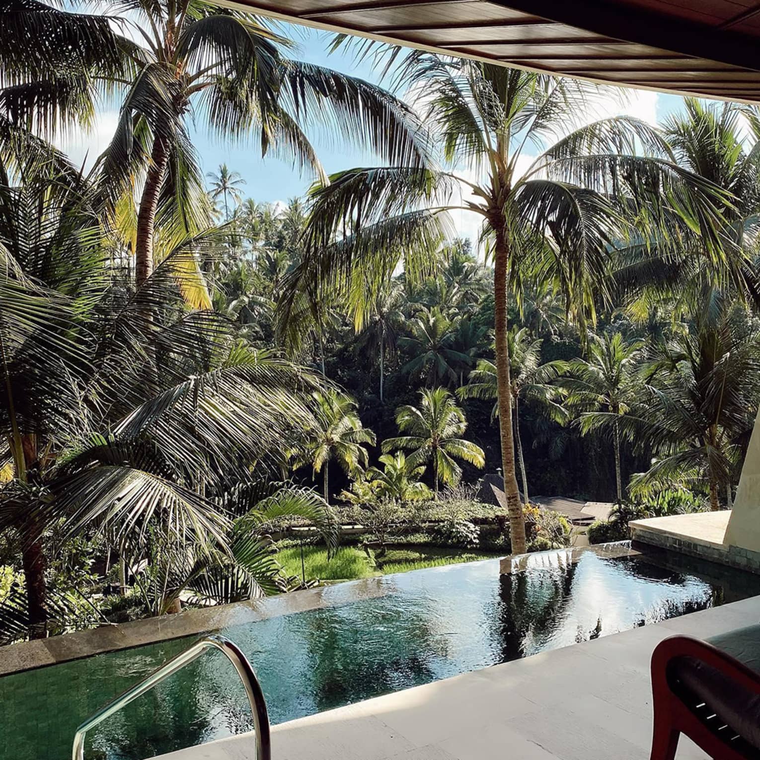 Private pool overlooking palm trees by river