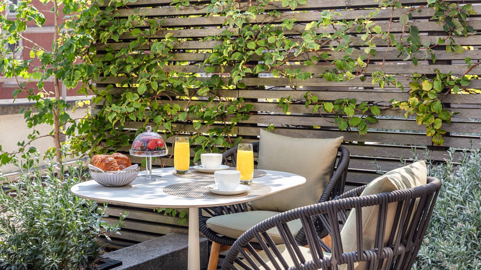 Outdoor terrace with coffee cups, juice glasses, bowl of berries and basket of croissants on a table for two, climbing ivy on the wall behind