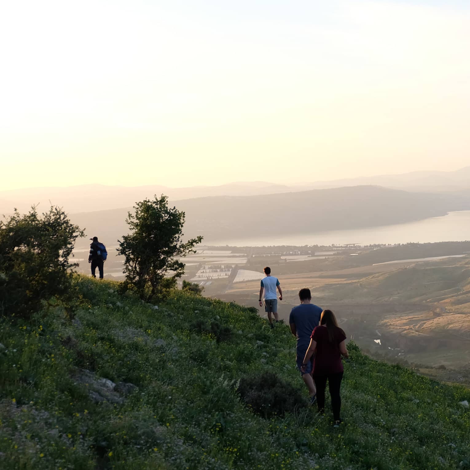 Four people hike in the green, lush, shaded side of a mountain overlooking more mountains and a body of water in Amman