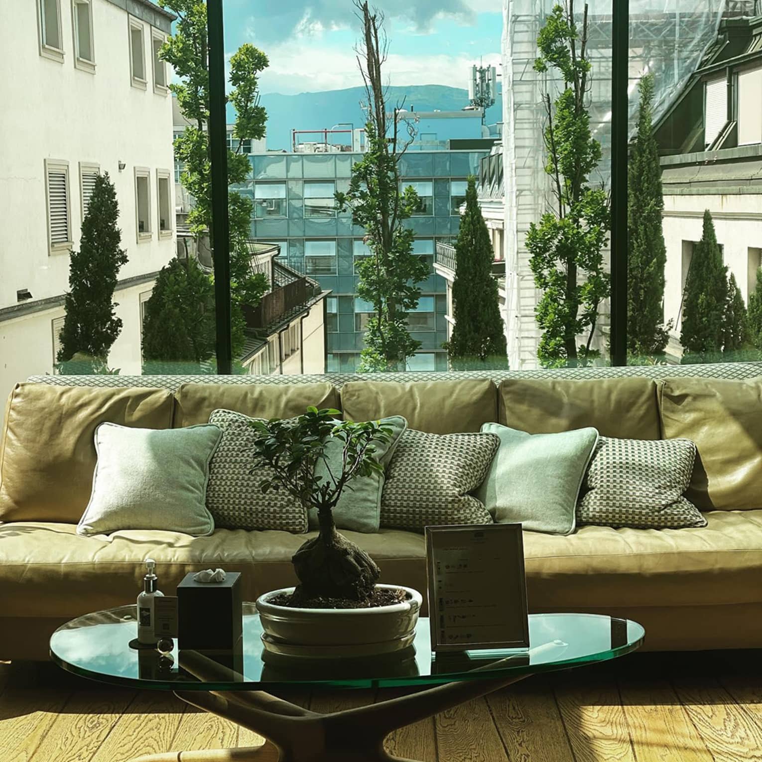 Beige sofa with decorative pillows, a small bonsai plant on a glass coffee table and a glass wall overlooking city buildings, trees and distant mountains