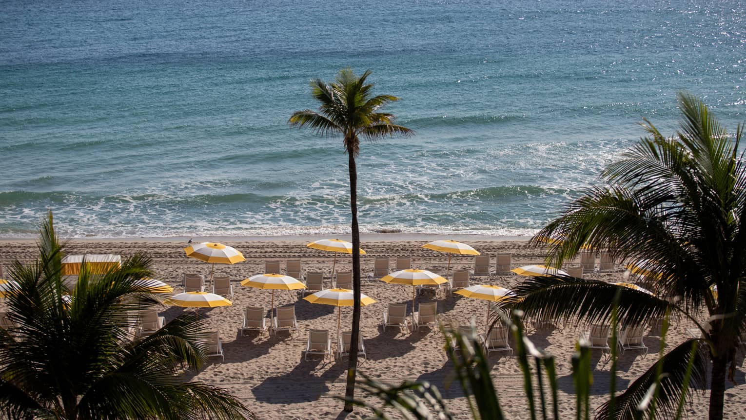 Umbrellas at the beach