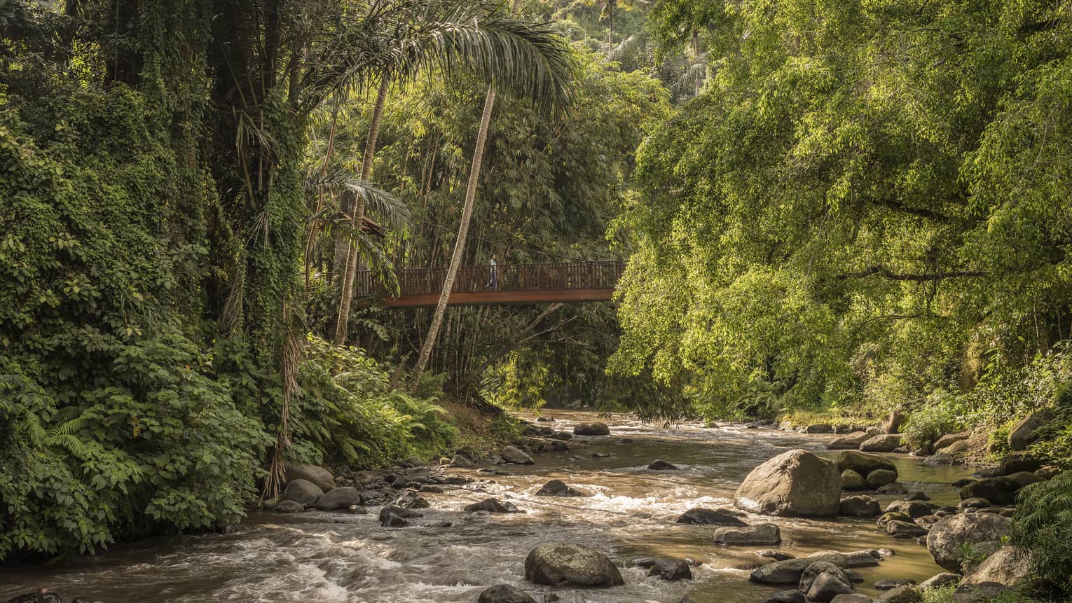 Sayan Bridge extends over a roaring river that flows around rocks and is surrounded by lush vegetation