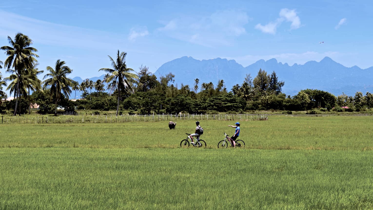 Couple riding bicycles through grassy field, tropical trees, mountains in distance