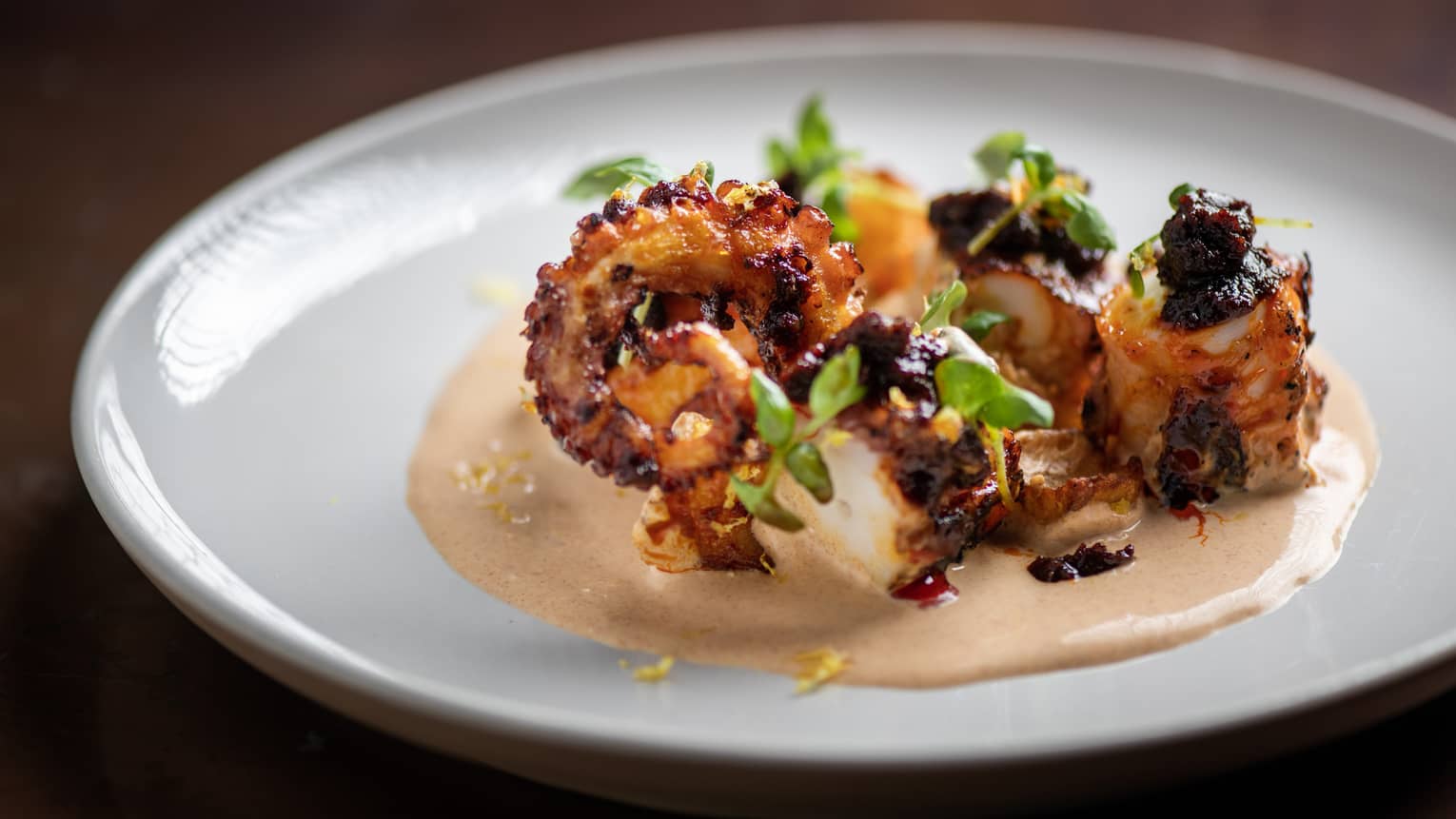 Grilled octopus garnished with greenery and sauce on a white round plate