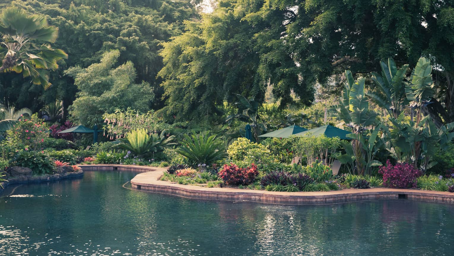 Outdoor free-form pool edged by lush landscaping in warm-weather setting