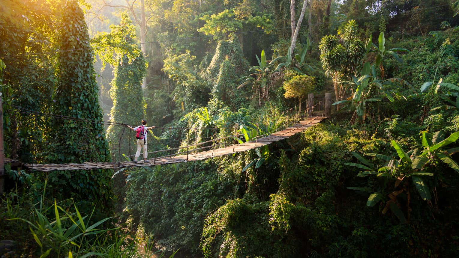 Person walks across rope bridge in lush jungle