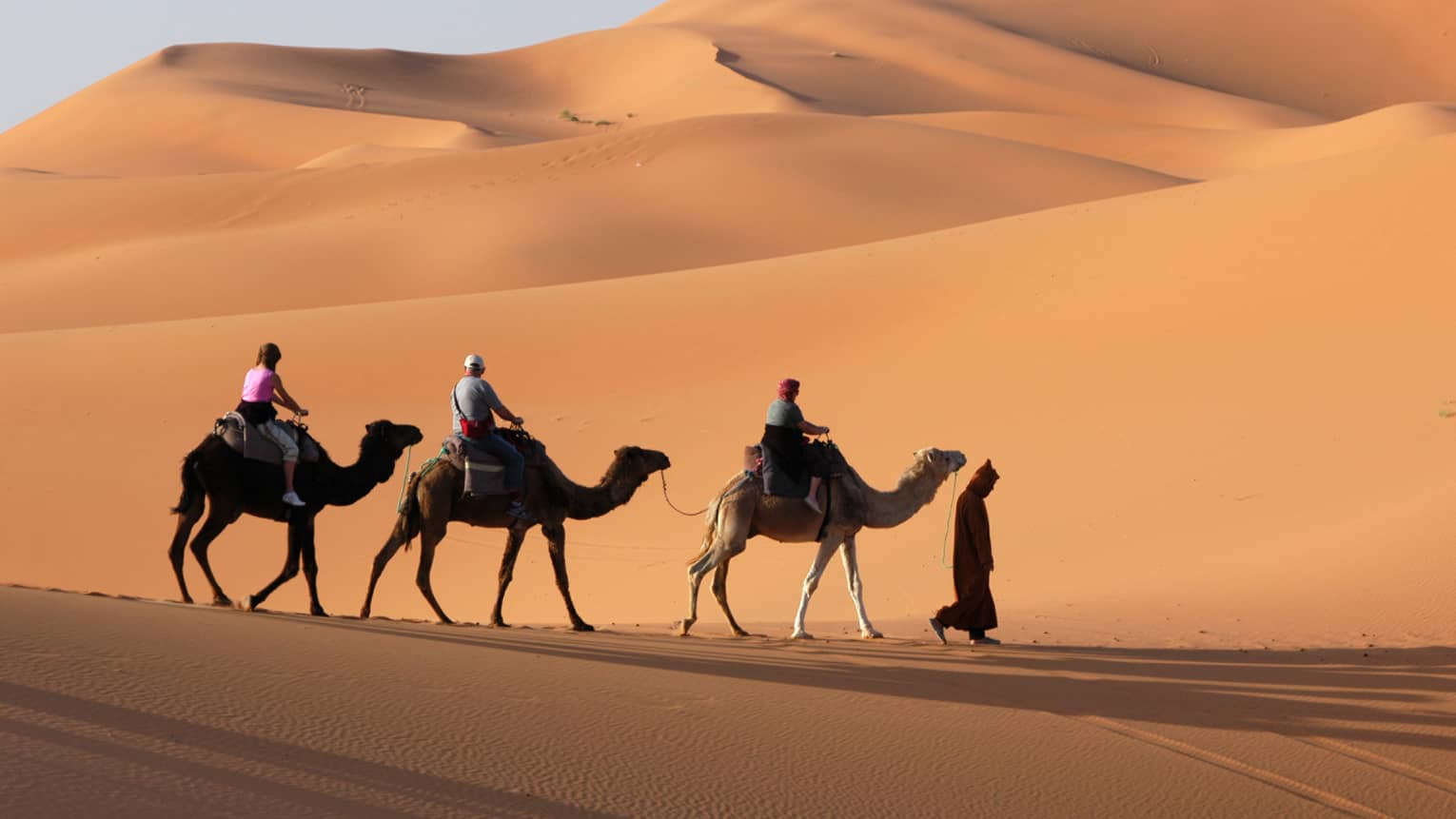 Man leads three people on camels through the Arabian Desert