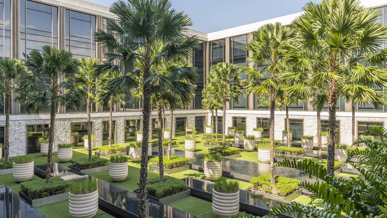 Palm Courtyard with towering palms and potted greenery