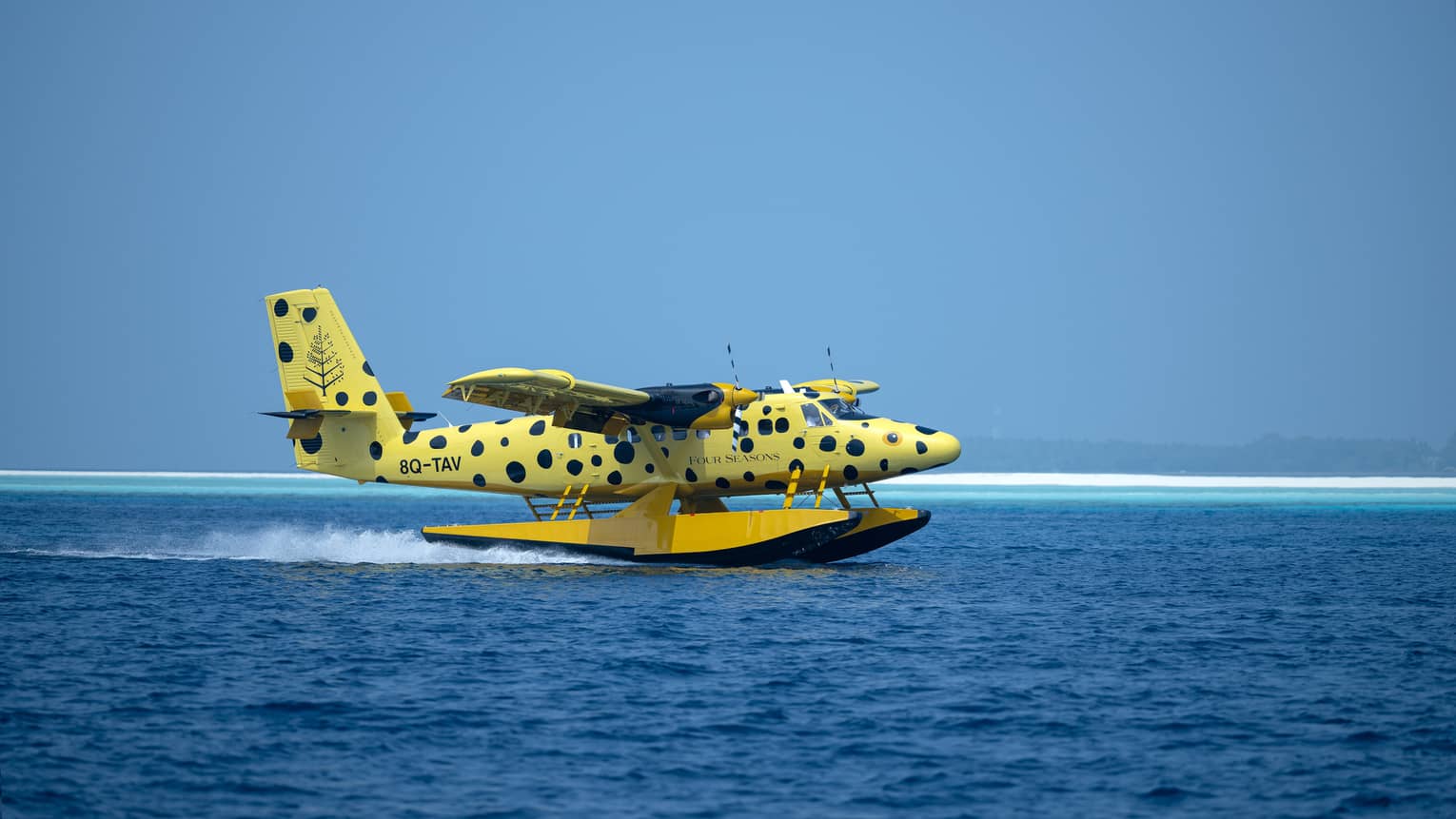 Yellow and black-spotted single-engine plane lands on the water in the Maldives