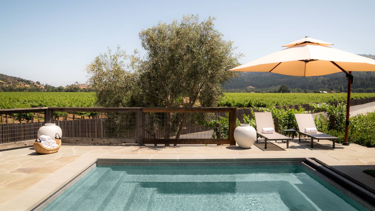 Private terrace with plunge pool, two sun loungers and umbrella, set next to vineyards