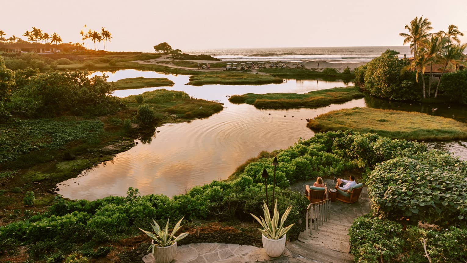 A pond and grassland area outside with palm trees in the distance.