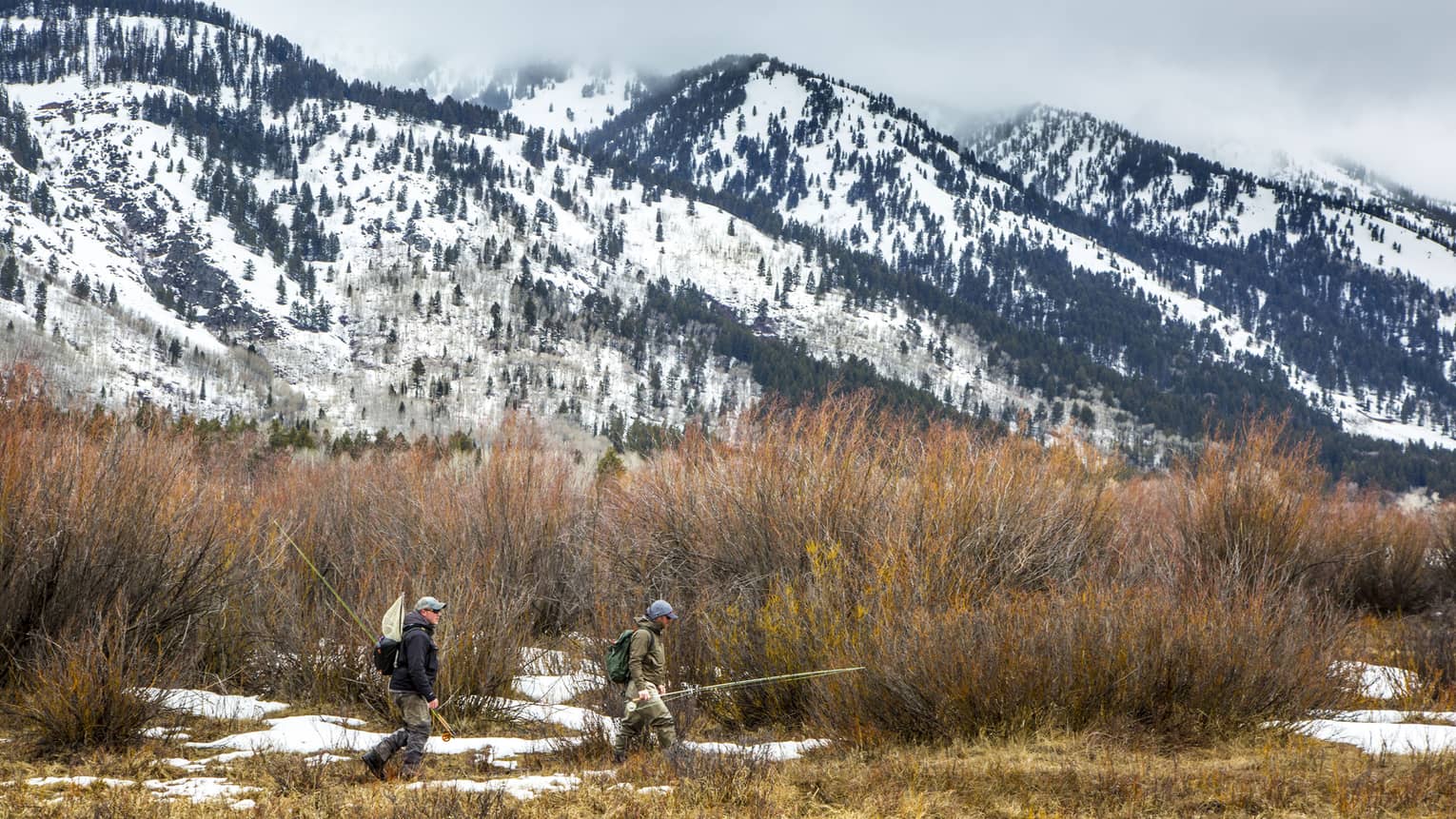 Two men carry fishing poles as they walk among the tall brush, snow-capped mountains in the background 