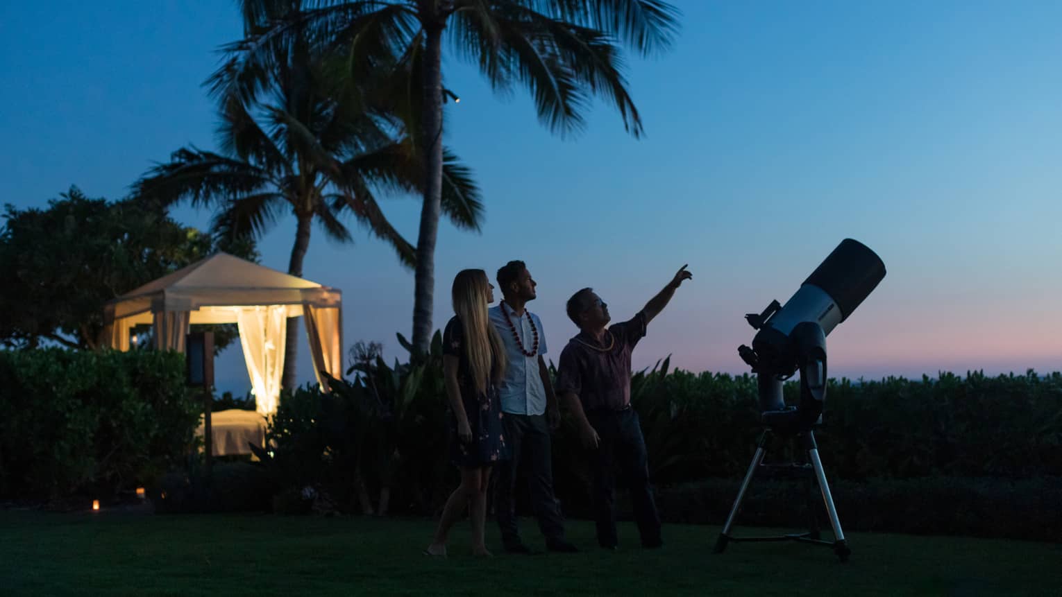 Silhouetted amid palm trees and a telescope, a guide points at the sky as two guests look up, a lit-up gazebo behind them.