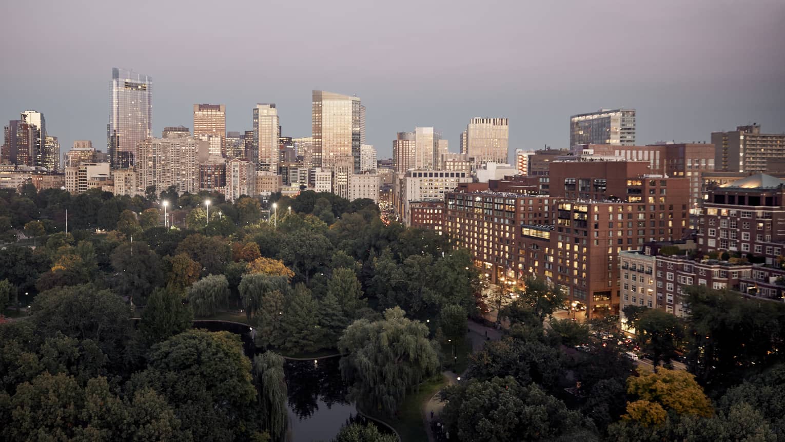 Aerial view of Boston Public Garden canopy of green trees and pond, buildings with lit windows and Boston city skyline at dusk