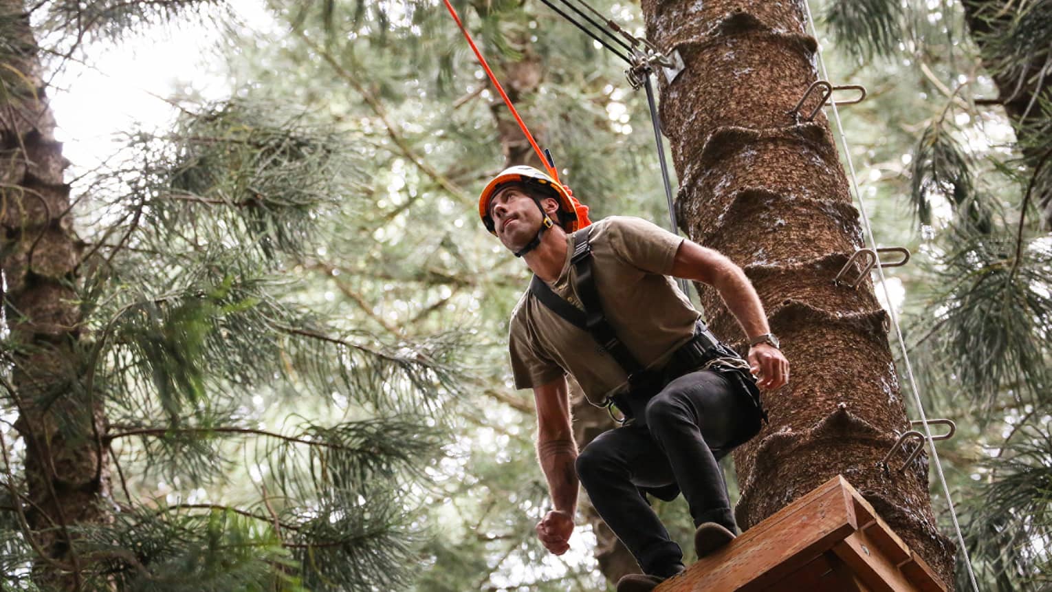 Man wearing harness and helmet prepares to leap from platform in tree