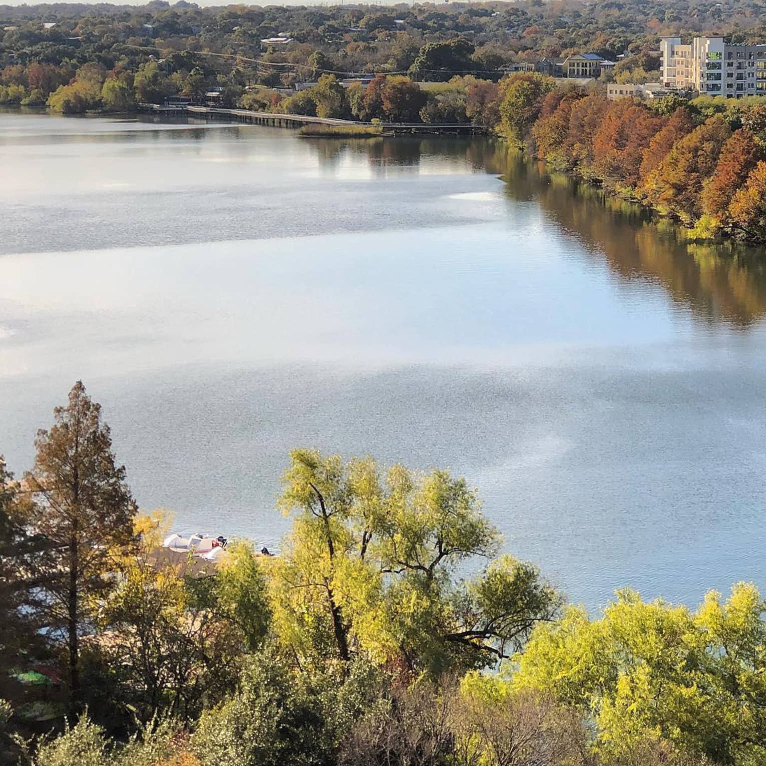 A large body of water surrounded by trees.