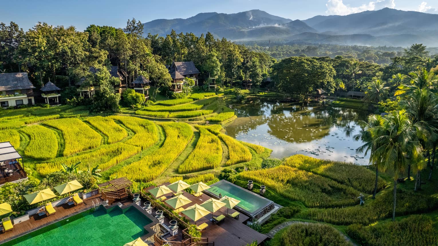 Lush tropical gardens and rice paddies fill our expansive 32-acre plantation