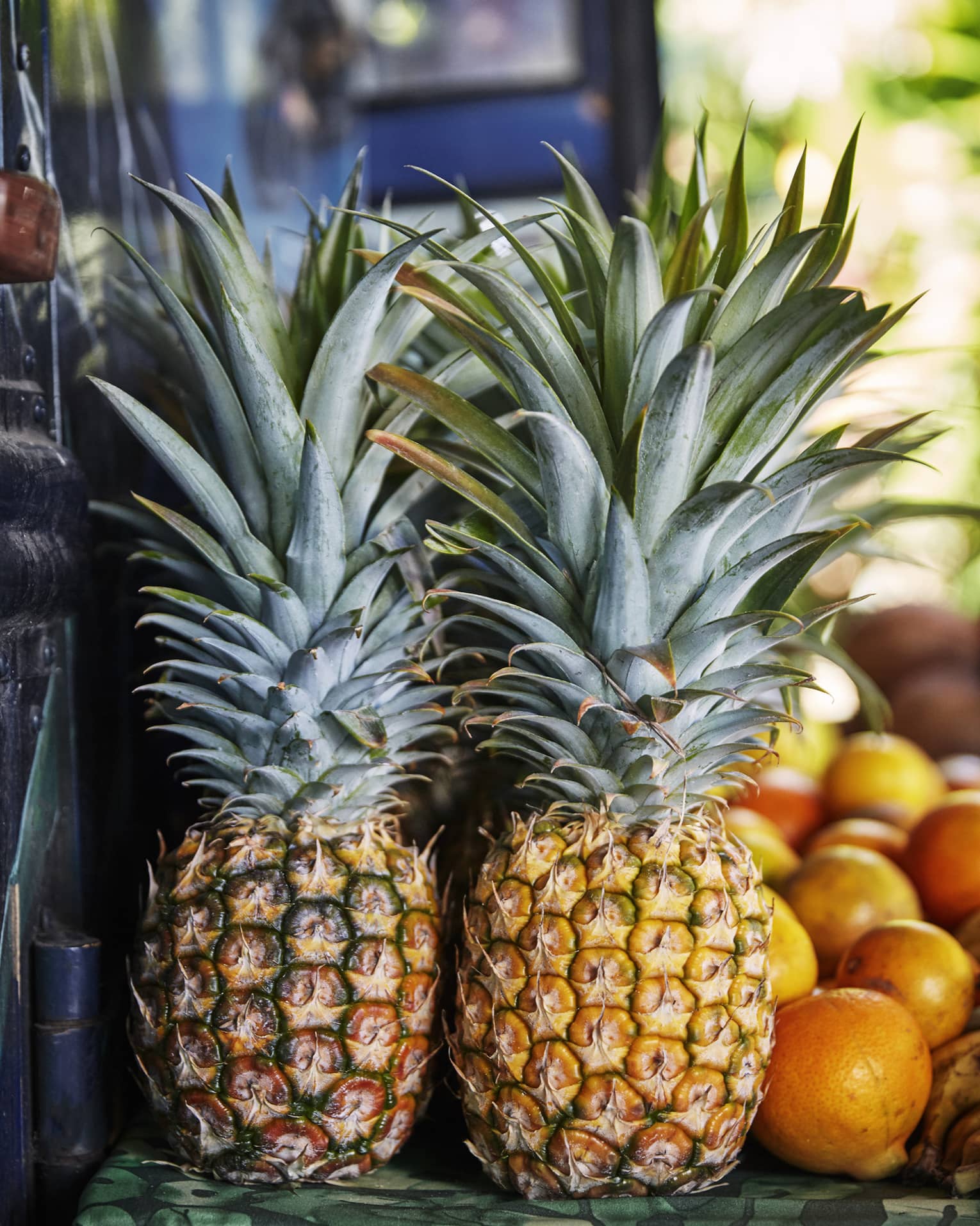 Two whole pineapples next to oranges on table
