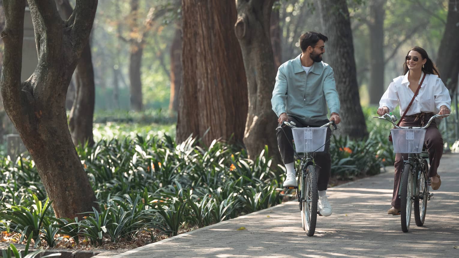 Two people ride bicycles down a tree-lined street.