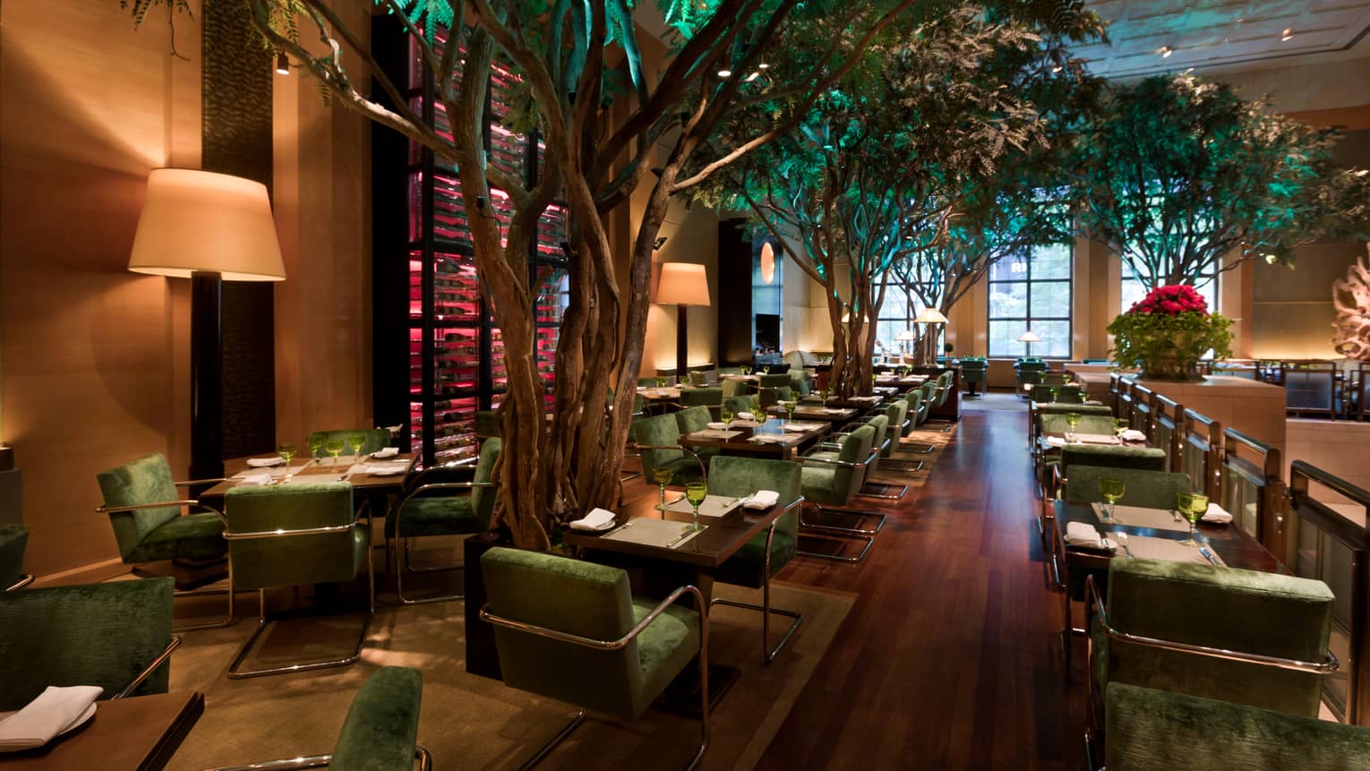 Garden Restuarant dimly-lit dining room with tables, lamps, large indoor trees
