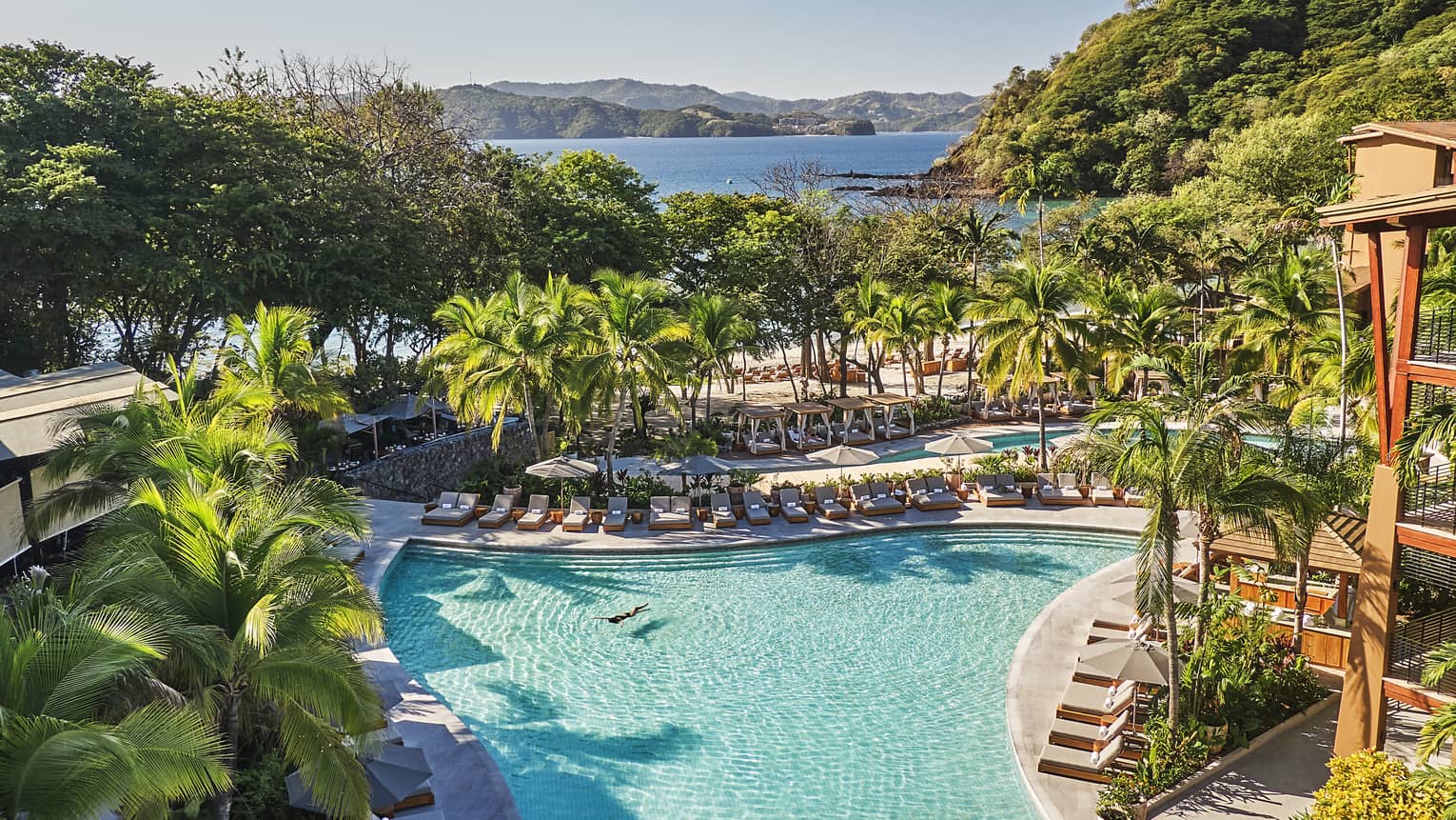 Aerial view of large outdoor pool surrounded by lounge chairs and tropical trees