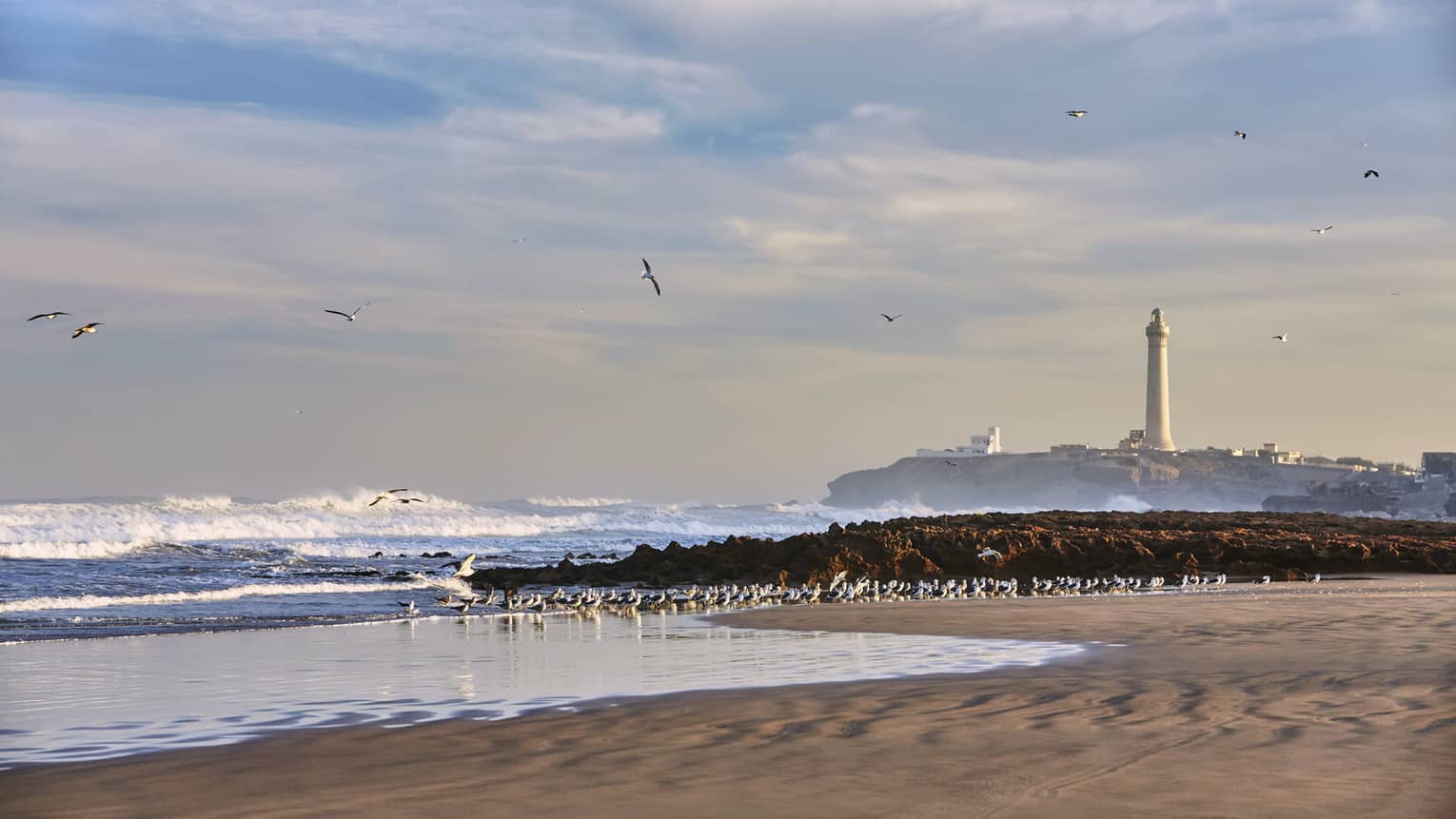 Seagulls like coast as waves roll in to golden beach by Four Seasons Casablanca hotel