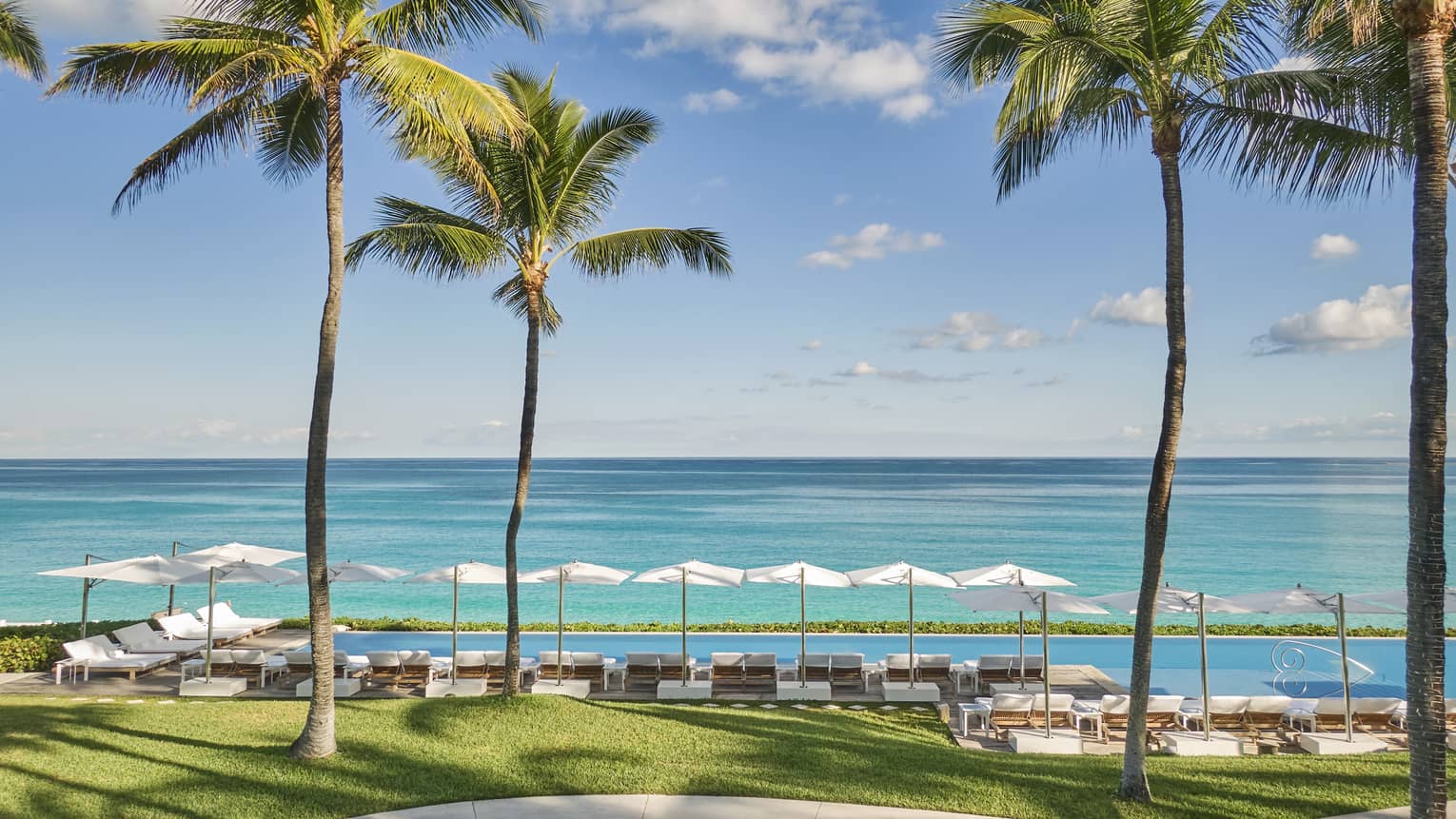 Infinity pool overlooking an ocean with white umbrellas and lounge chairs, framed by tall palm trees on a sunny day