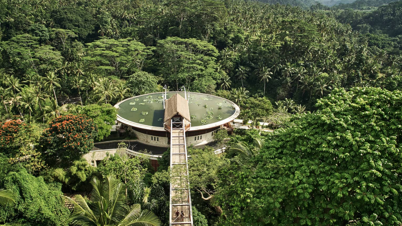 Aerial view of lotus pond at resort entrance, perched above jungle-like forest in Bali