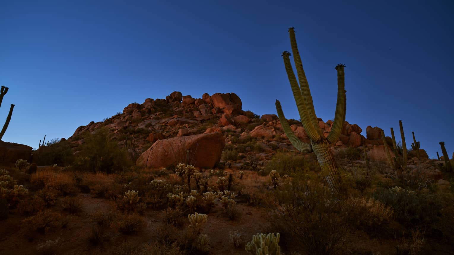 Dessert landscape at night at Four Seasons Resort Scottsdale