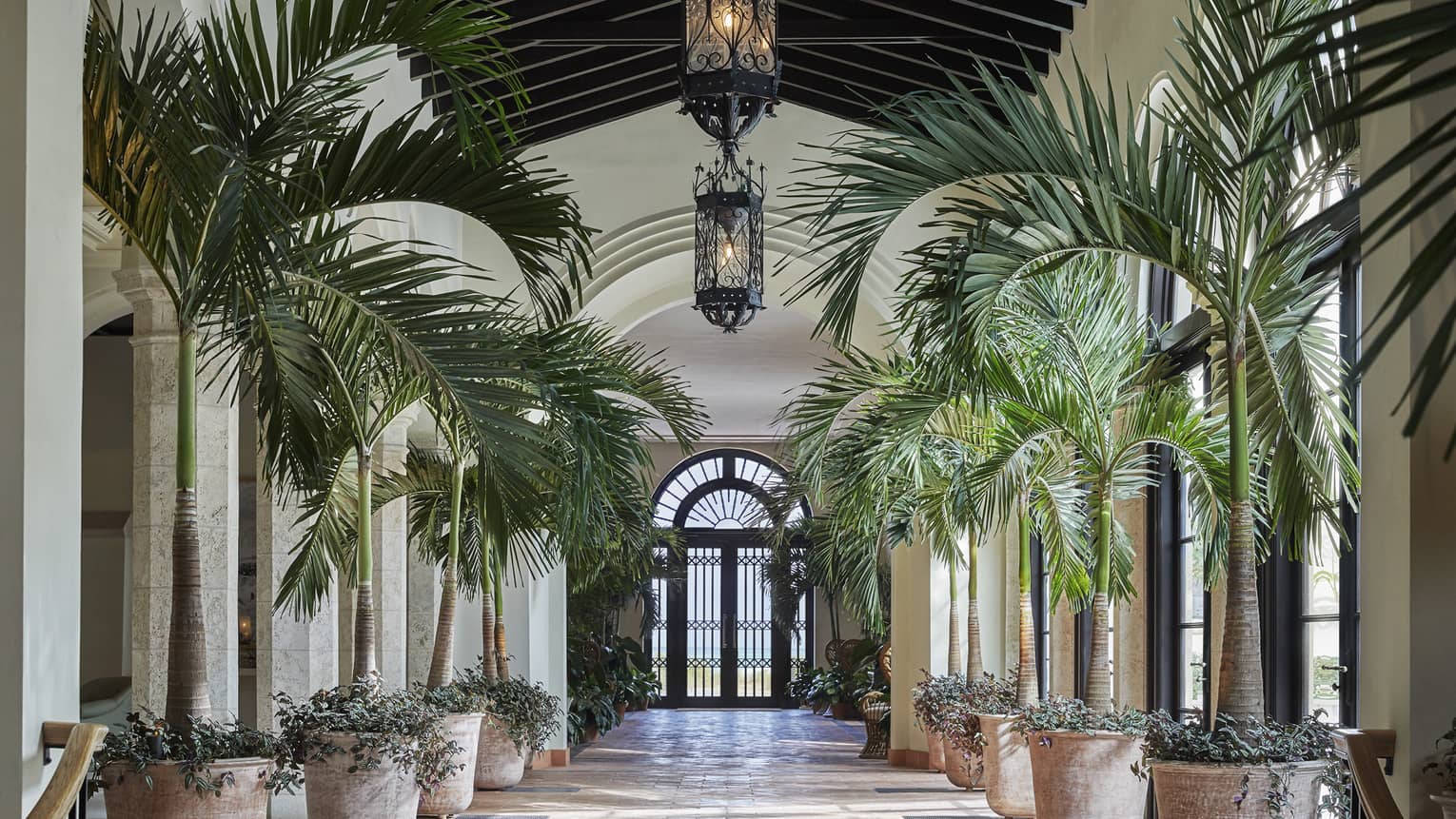 Hotel corridor flanked on either side by rows of potted palms, French doors at the far end